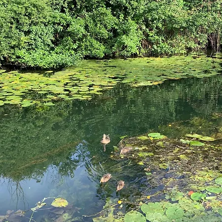 Marais Poitevin Maison Au Bord De L'eau 度假居